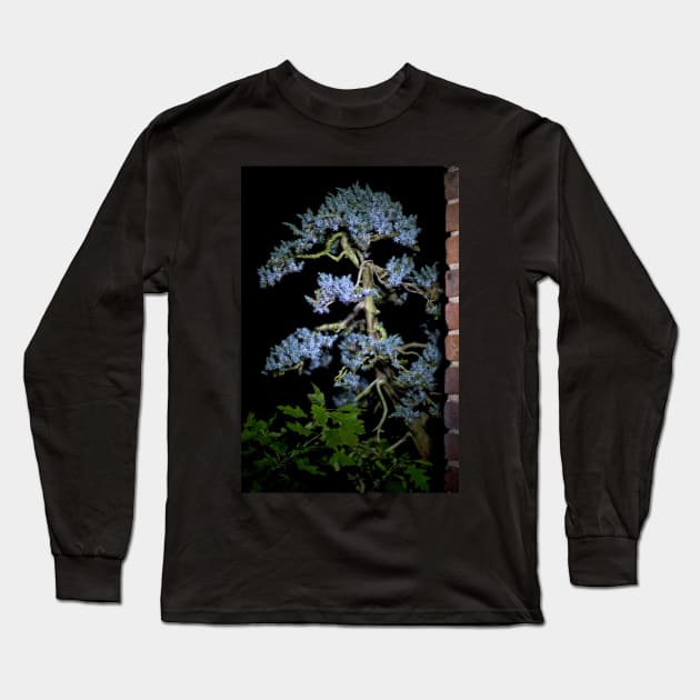 Bonsai Juniperus Meyeri At Night Long Sleeve T-Shirt by heidiannemorris